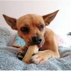 4DOGS Gryzak z sera himalajskiego Churpi Original M