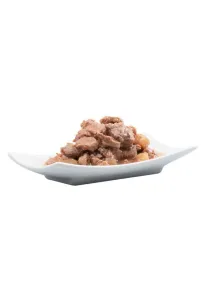 Catz Finefood Ragout N.605 Łosoś i Dzika Kaczka puszka 380g