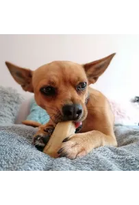 4DOGS Gryzak z sera himalajskiego Churpi Original S