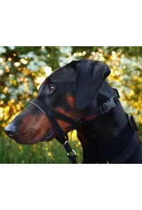 Halti Kantarek - obroża uzdowa rozmiar 3 czarna