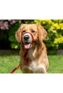 Halti Kantarek - obroża uzdowa rozmiar 3 czarna