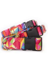 Dingo Obroża regulowana America Kolorado 4,0cm/75cm