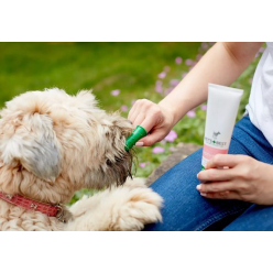 Vet's Best Dental żel + szczoteczka zestaw Puppy