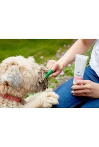 Vet's Best Dental żel + szczoteczka zestaw Puppy