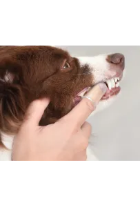 ARM AND HAMMER ZESTAW DLA PSÓW