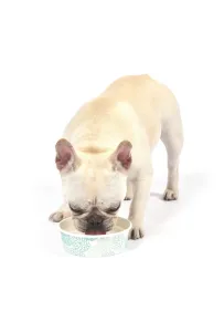 ARM AND HAMMER DODATEK DO WODY KOKOSOWY 473ml