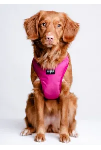 CHABA Szelki Guard Comfort Classic L fuksja