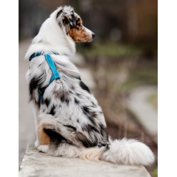 CHABA Szelki Guard Comfort Classic L morskie