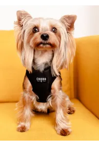 CHABA Szelki Guard Comfort Classic M czarne