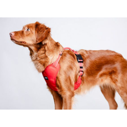 CHABA Szelki Guard Comfort Classic S czerwone