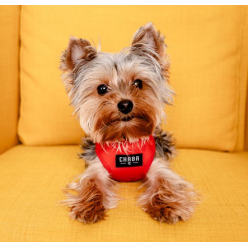 CHABA Szelki Guard Comfort Classic S czerwone