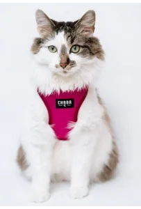 CHABA Szelki Guard Comfort Classic S fuksja