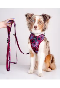 CHABA Smycz regulowana Story III L 25mm/260cm Lakota