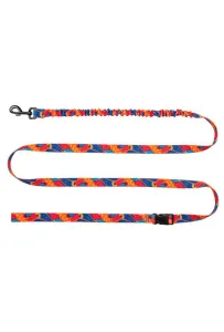 CHABA Smycz z amortyzatorem do biegania Story III L 25mm/280cm Aussie