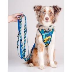 CHABA Smycz regulowana Story III S 16mm/260cm Carnival