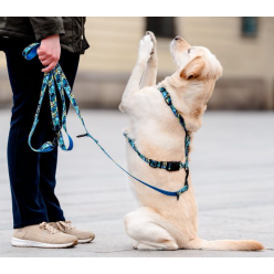 CHABA Smycz regulowana Story III S 16mm/260cm Carnival