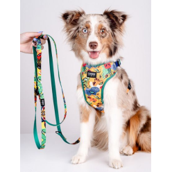 CHABA Smycz regulowana Story III M 20mm/260cm Jumbo