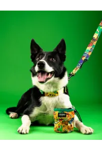 CHABA Smycz regulowana Story III M 20mm/260cm Jumbo