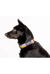 CHABA Obroża regulowana Story III XL Aussie