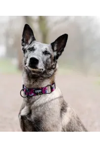 CHABA Obroża regulowana Story III L Lakota