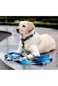 CHABA Obroża regulowana Story III L Carnival