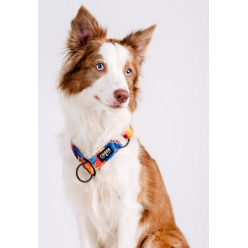 CHABA Obroża półzaciskowa Story III L Aussie