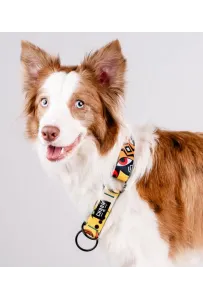 CHABA Obroża półzaciskowa Story III L Jumbo