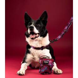 CHABA Obroża regulowana Story III S Lakota