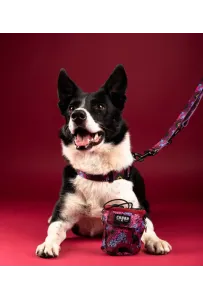 CHABA Obroża regulowana Story III S Lakota