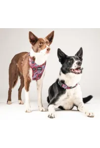 CHABA Obroża regulowana Story III S Lakota