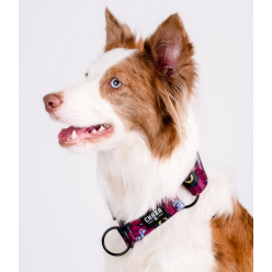 CHABA Obroża półzaciskowa Story III M Lakota