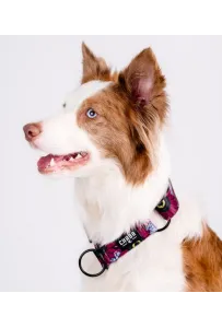 CHABA Obroża półzaciskowa Story III M Lakota