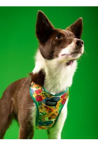 CHABA Szelki Guard Comfort Story III bezuciskowe L 2,0cm Jumbo