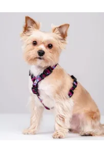 CHABA Szelki Guard Story III L 2,5cm Lakota