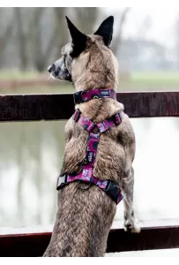 CHABA Szelki Guard Story III L 2,5cm Lakota