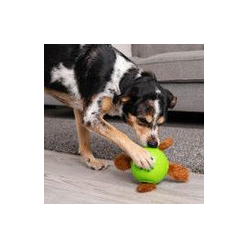 Nina Ottosson Dog Piłka Węchowa 11 cm – Interaktywna Zabawka dla Psa