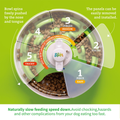 Pdh Spin Ufo Maze Green Tricky Plus Twister