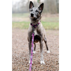 CHABA Smycz regulowana Story III L 25mm/260cm Lakota