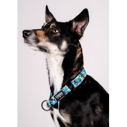 CHABA Obroża półzaciskowa Story III M Carnival