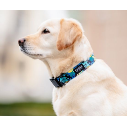 CHABA Obroża regulowana Story III L Carnival