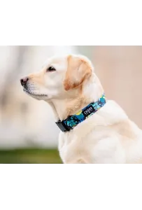 CHABA Obroża regulowana Story III L Carnival