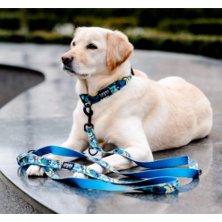 CHABA Obroża regulowana Story III L Carnival