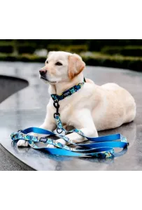 CHABA Obroża regulowana Story III L Carnival