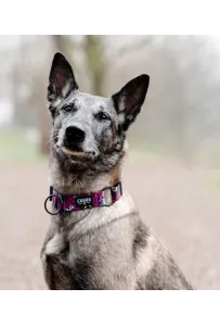 CHABA Obroża regulowana Story III M Lakota