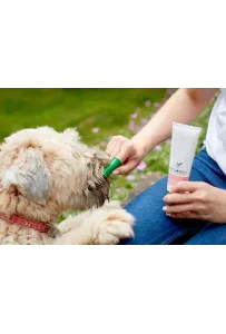Vet's Best Dental żel + szczoteczka zestaw Puppy