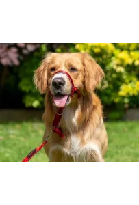 Halti Kantarek - obroża uzdowa rozmiar 4 czerwona