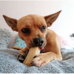 4DOGS Gryzak z sera himalajskiego Churpi Original XL