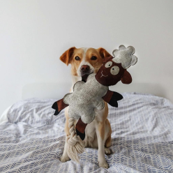 DUVO+ Zabawka Gryzak Owca Sebastian 49cm – Miękki Pluszowy Gryzak dla Psów