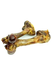 Balto Kość dzika 1szt