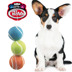 PET NOVA Piłki Tenisowe Pływające 6 cm 3 szt. – Idealne Zabawki do Wodnych Zabaw dla Psów